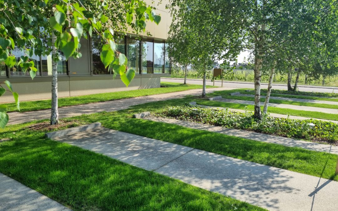 Transformer la Ville grâce à l’Expertise en Végétalisation.