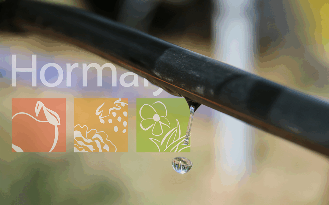 Hormalys mouille le maillot pour votre succès : l’irrigation pensée du champ au bilan.