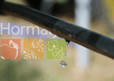 Hormalys mouille le maillot pour votre succès : l’irrigation pensée du champ au bilan.